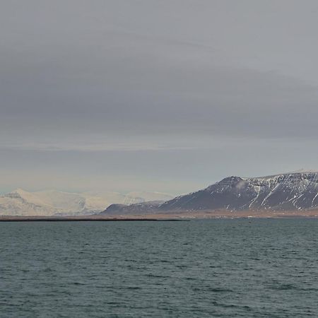 Floki'S Apartment Downtown. Reykjavik Exterior photo