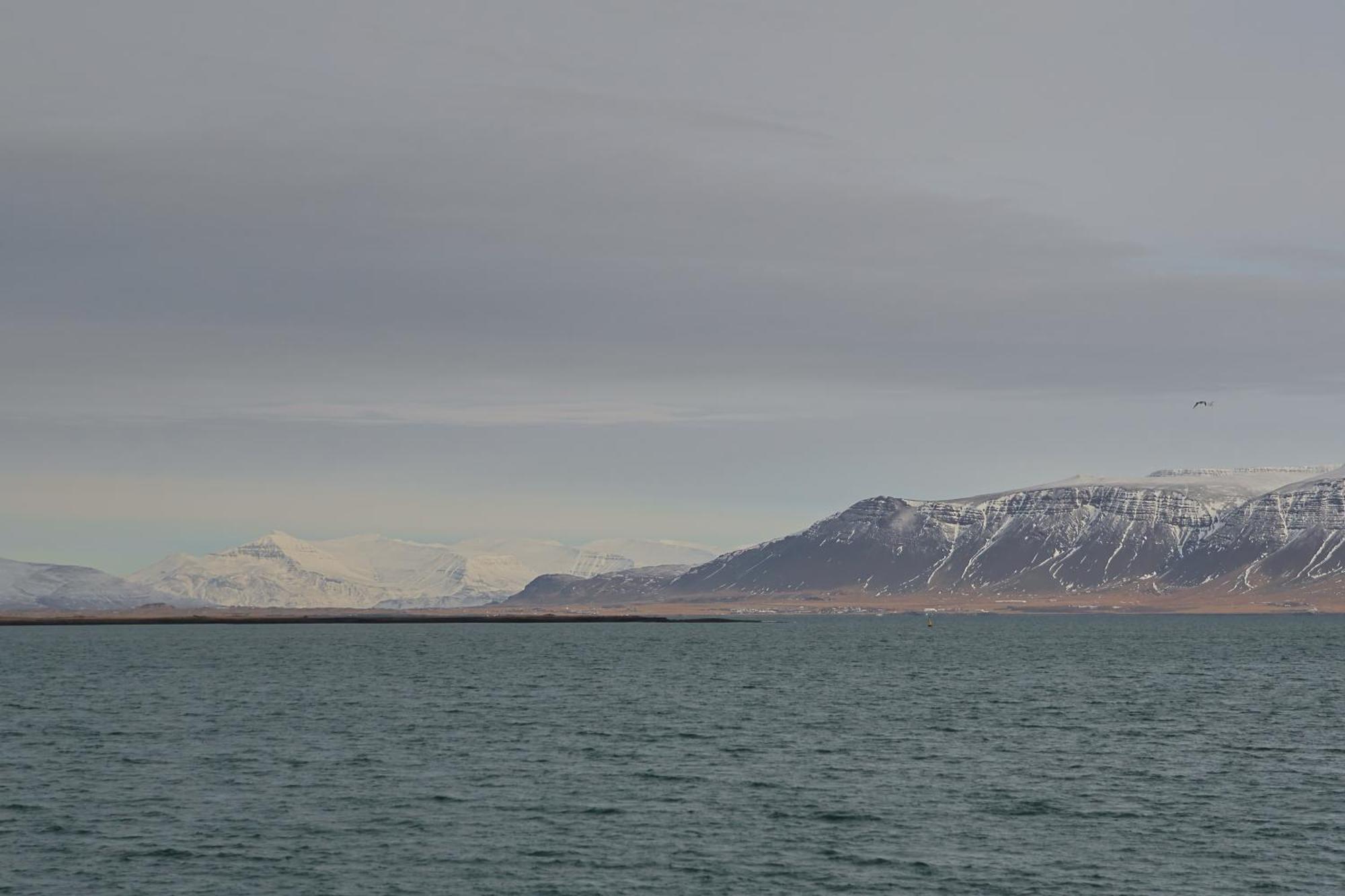Floki'S Apartment Downtown. Reykjavik Exterior photo